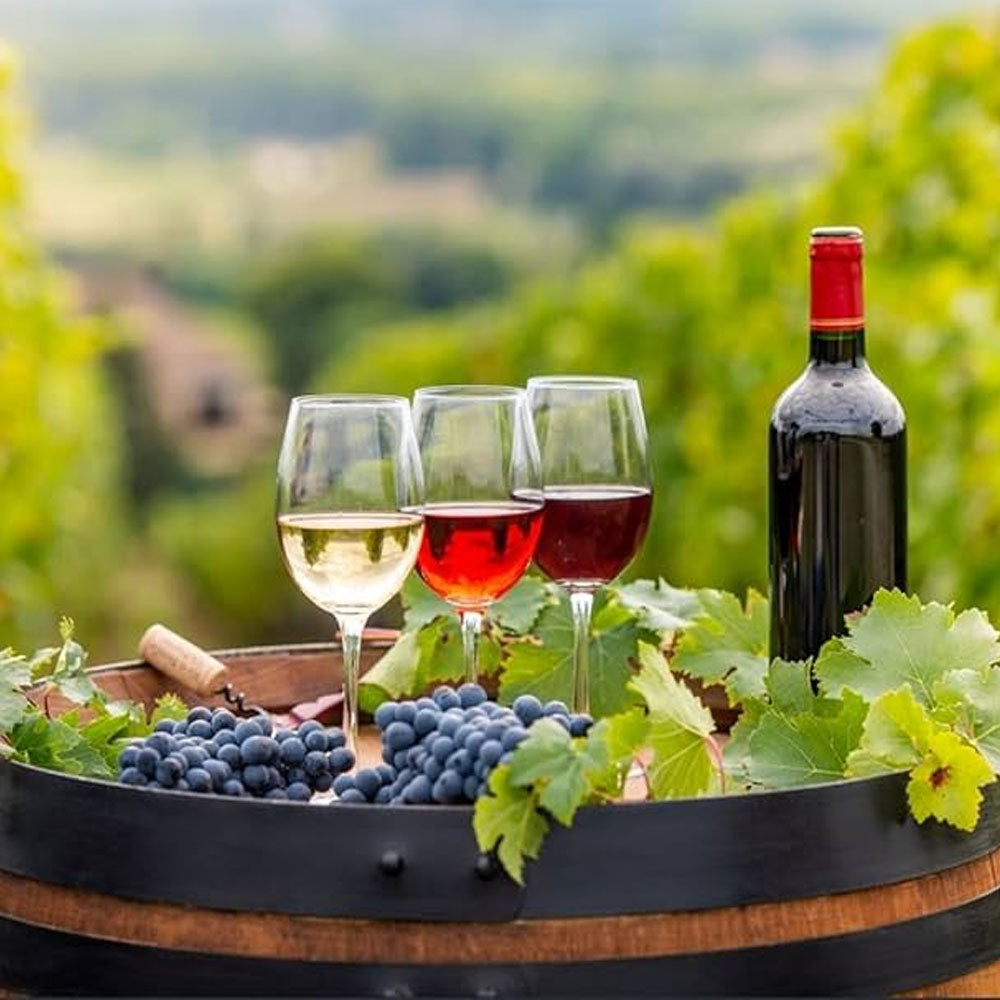 Tratamente vin - pachet 100L