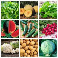 Thumbnail for Insecticid vierme sarma Trika Expert (50g, 150g, 450g, 1kg)