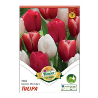 Thumbnail for Bulbi Lalele Trio Easter Monday 6 buc