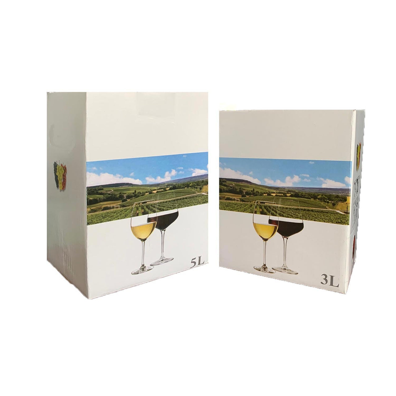 Imagine produs: Cutii Bag in Box vin (3L,5L) - Disponibil pe Plantazia.ro