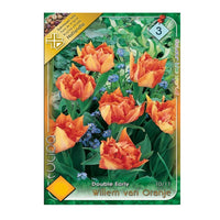 Thumbnail for Bulbi Lalele Willem van Orange 6 buc