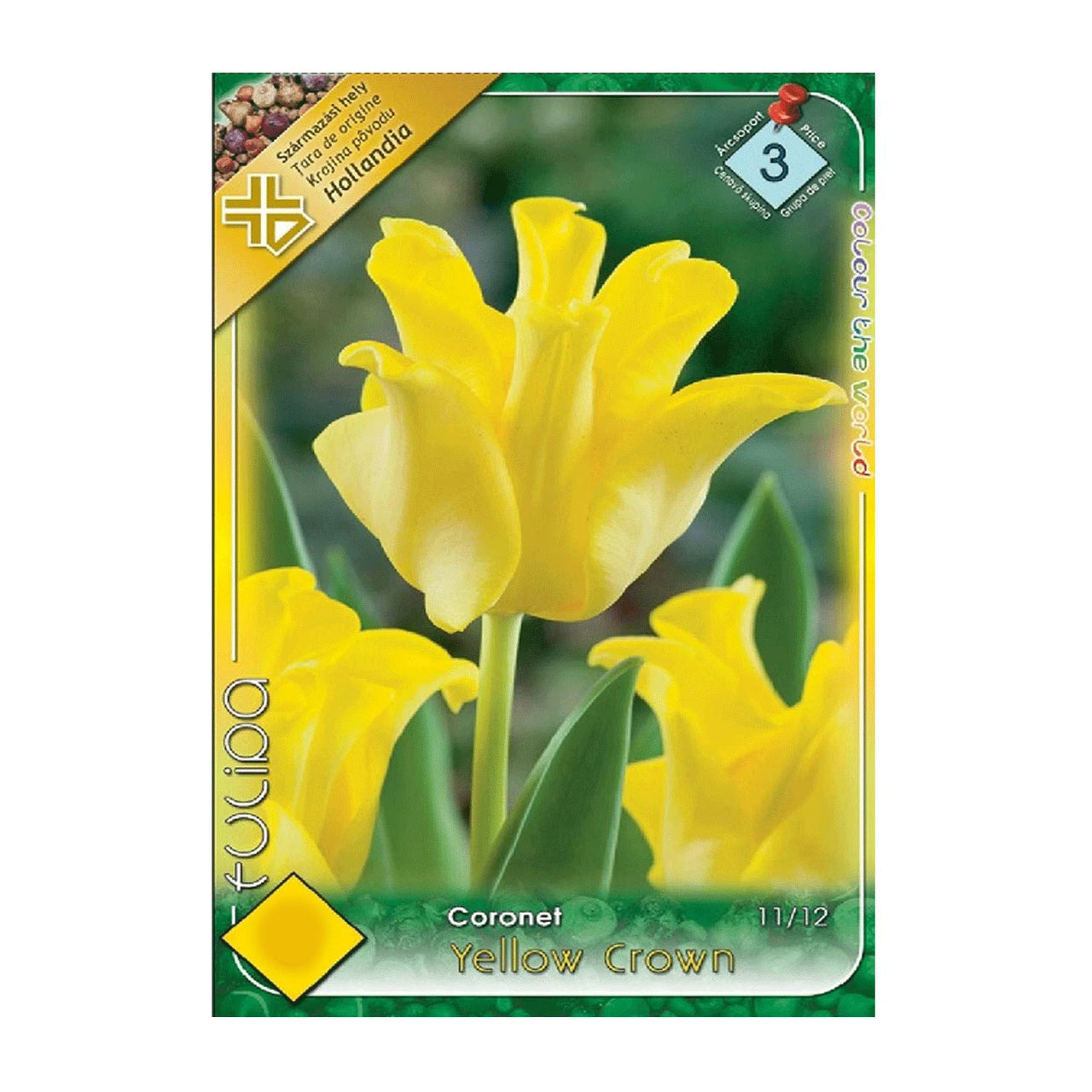 Bulbi Lalele Yellow Crown 5 buc