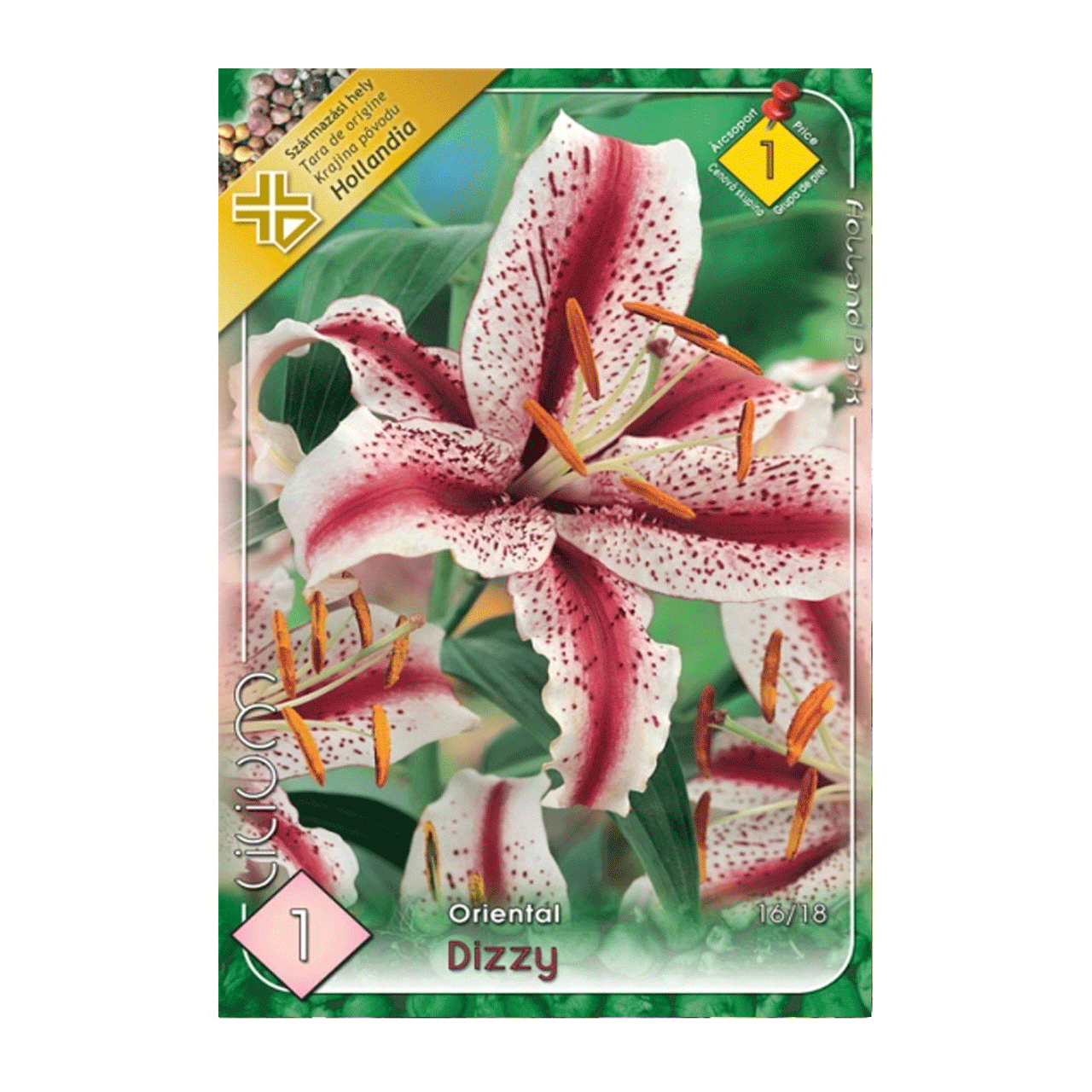 Bulbi Crini Dizzy 1 buc