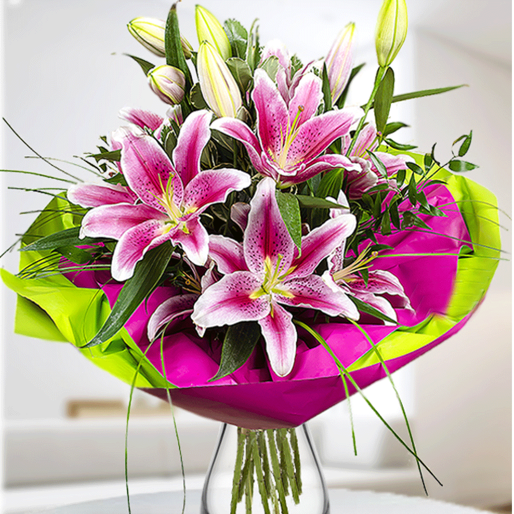 Bulbi Crini Star Gazer 1 buc