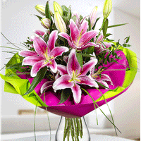 Thumbnail for Bulbi Crini Star Gazer 1 buc