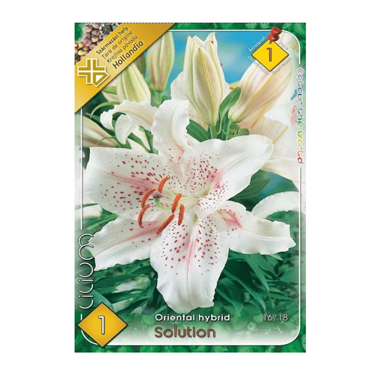 Bulbi Crini Solution 1 buc