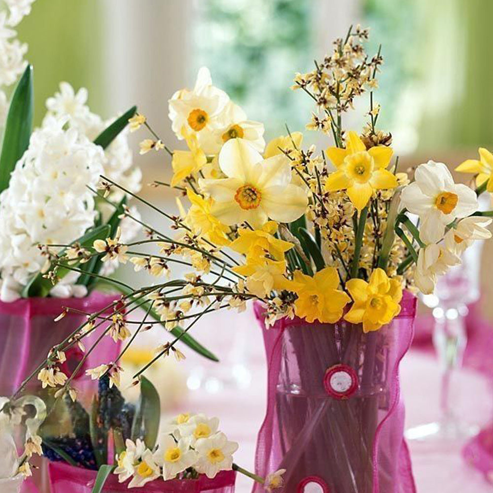 Bulbi Narcise Multiflori Mix 8 buc