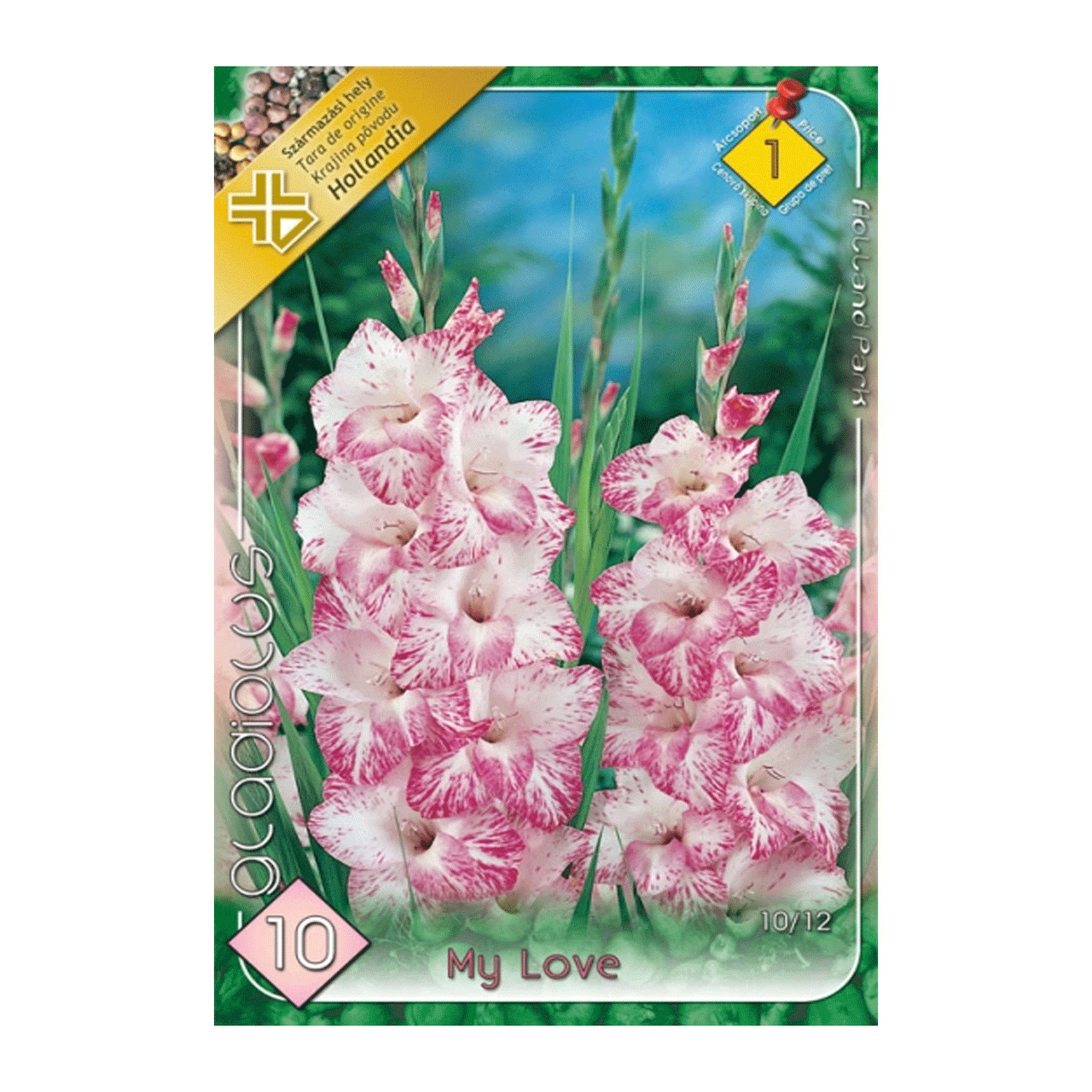 Bulbi Gladiole My Love 10 buc