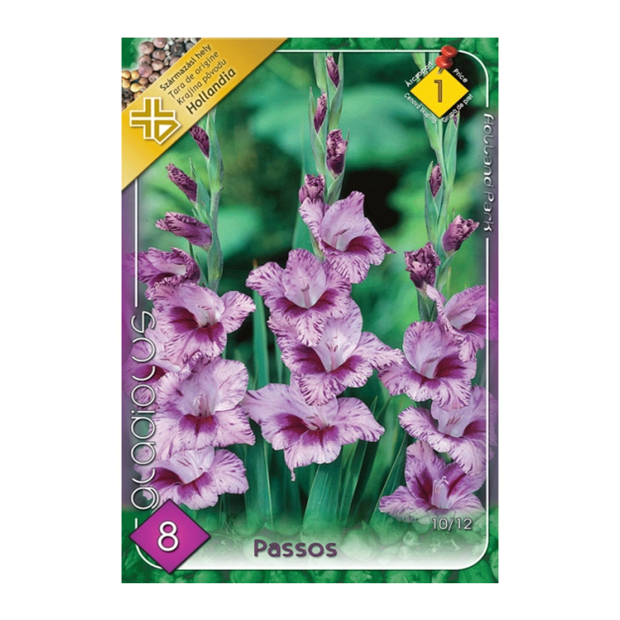 Bulbi Gladiole Passos 8 buc