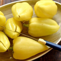 Thumbnail for Seminte Ardei Gras Redei Feher 0.5g