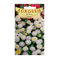 Thumbnail for Seminte flori Banutei (Bellis perenis) albi 0.1g