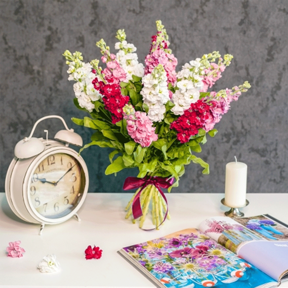 Seminte flori Mixandre (Matthiola incana) rosii 0.15g