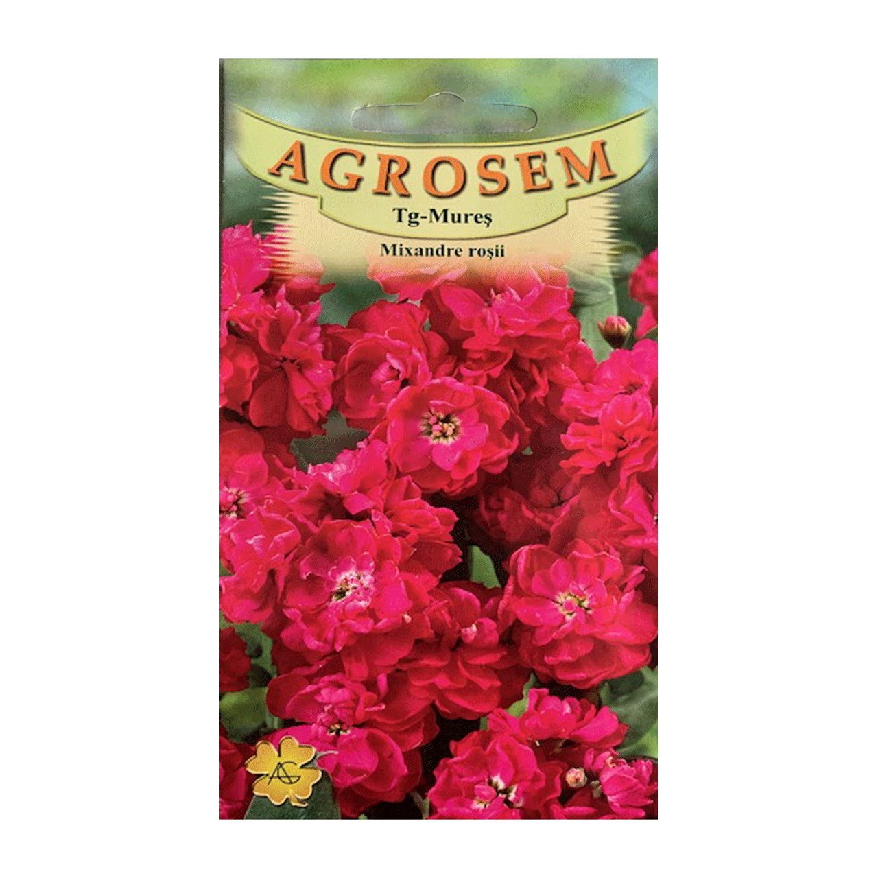 Seminte flori Mixandre (Matthiola incana) rosii 0.15g