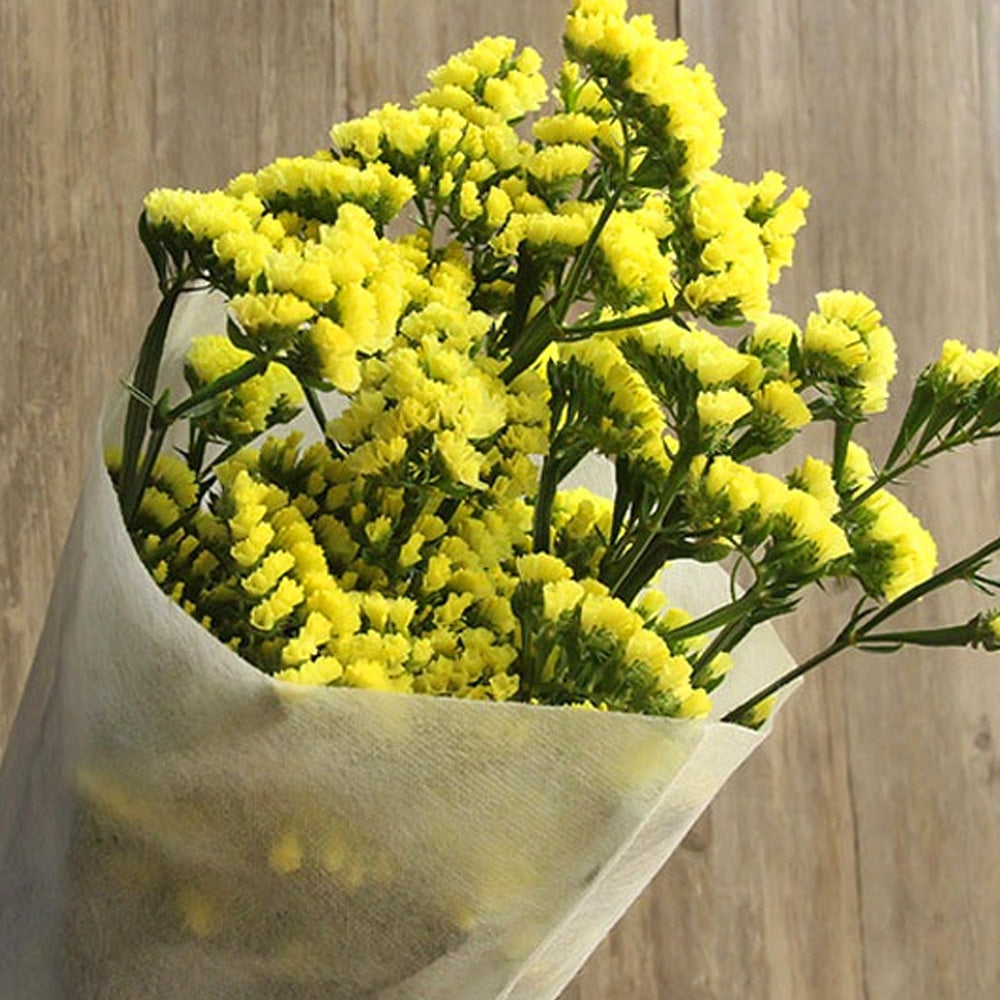 Seminte flori Saraturica (Limonium sinuatum) galbena 0.5g