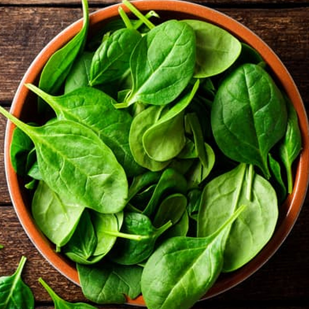 Seminte Spanac Monores 3 g