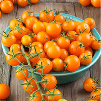 Thumbnail for Seminte Tomate Orange Cherry 0.3g