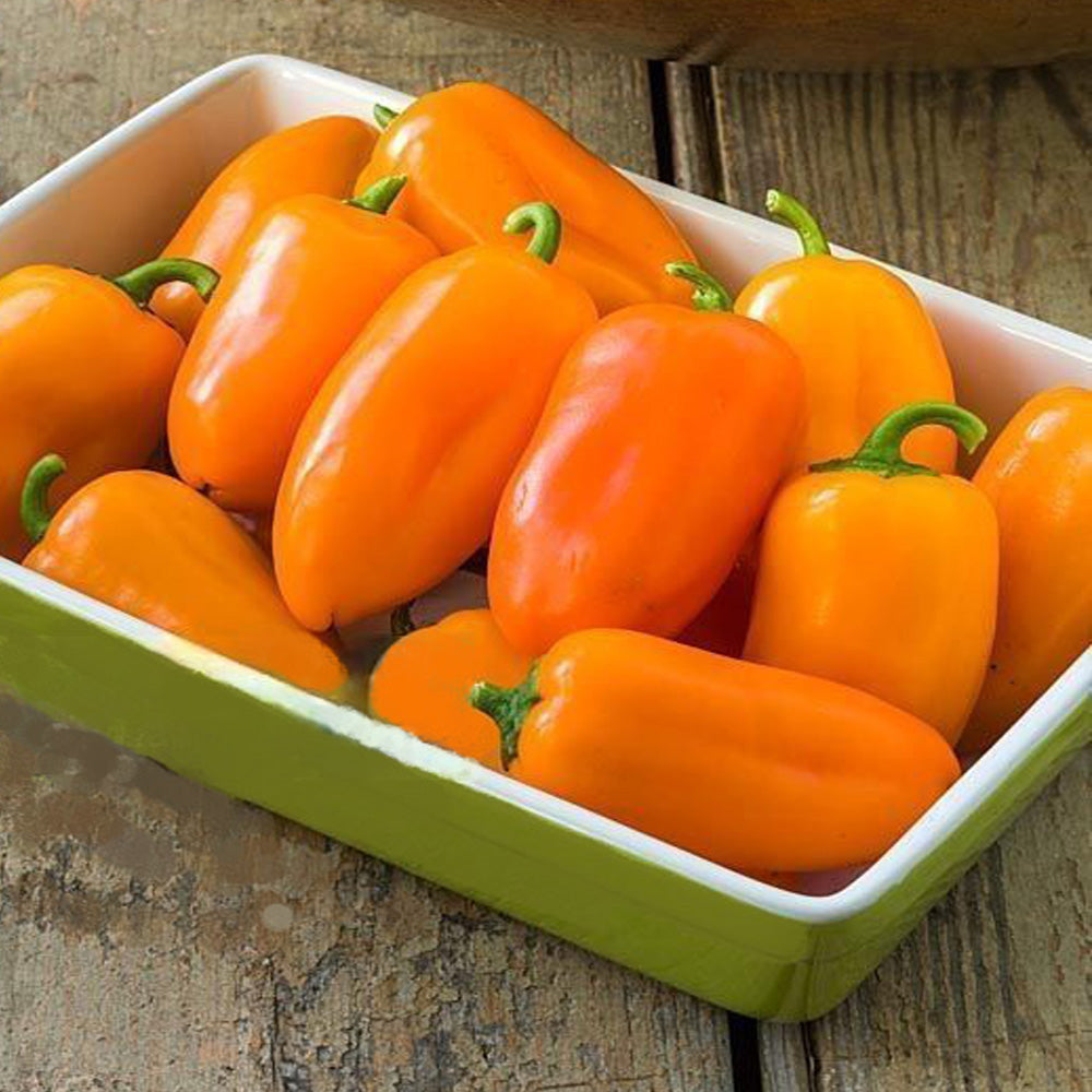 Seminte Ardei Snack Adelin 0.25g