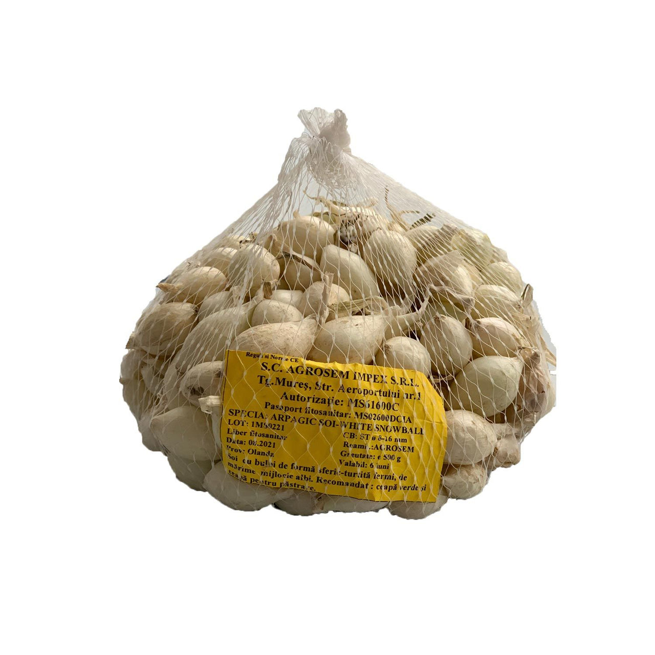 Arpagic alb White Snowball, (200g, 500g)