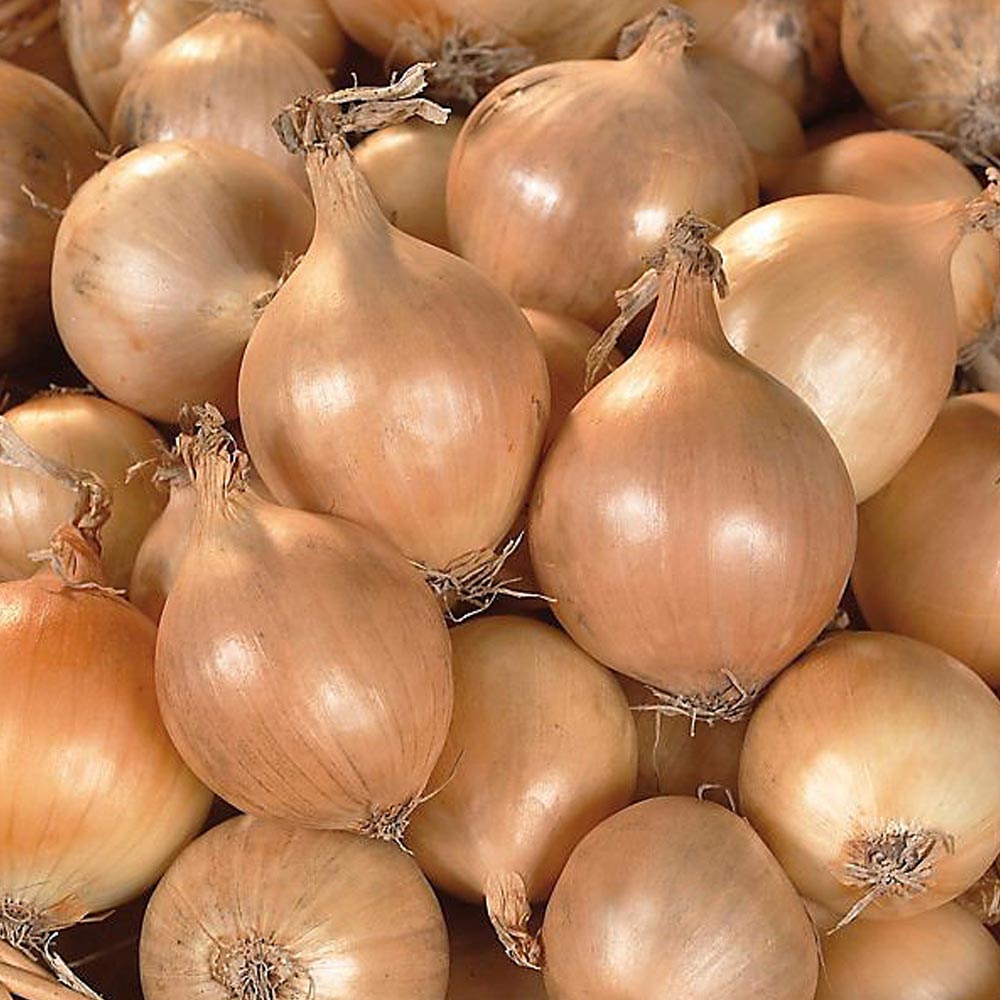 Arpagic Sturon (300g, 500g, 1kg)