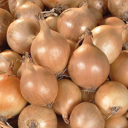 Arpagic Sturon (300g, 500g, 1kg)