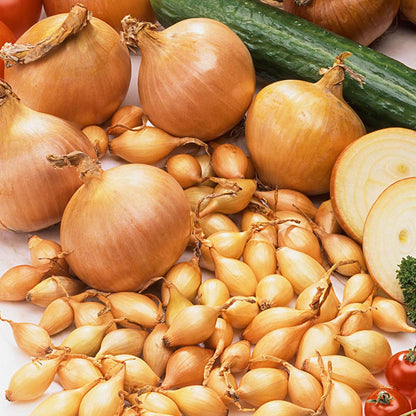 Arpagic Sturon (300g, 500g, 1kg)