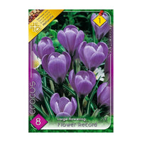 Thumbnail for Bulbi Crocusi Flower Record 8 buc