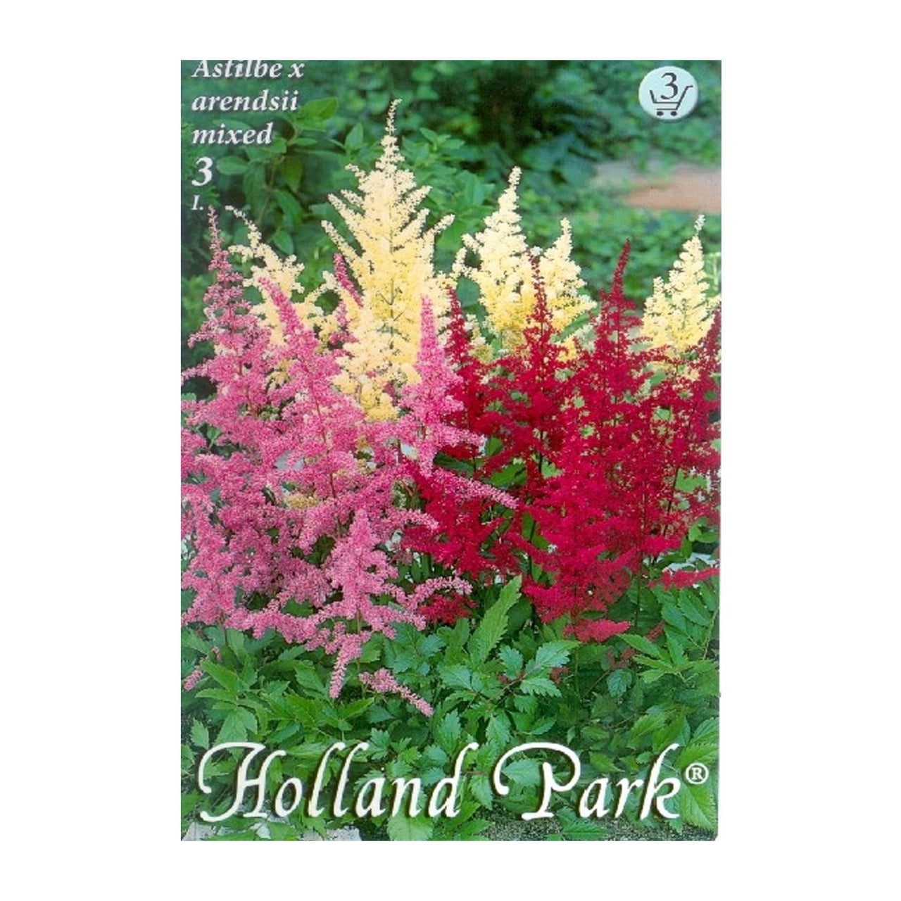 Bulbi Astilbe X Arendsii Mix 3 buc