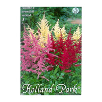 Thumbnail for Bulbi Astilbe X Arendsii Mix 3 buc