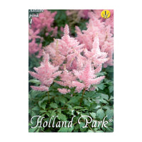 Thumbnail for Bulbi Astilbe X Arendsii Roz 1 buc