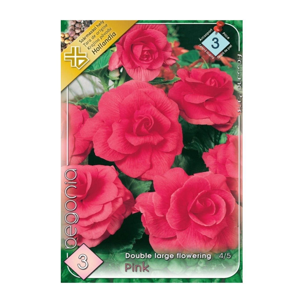 Bulbi Begonia Double large flowering Roz 3 buc