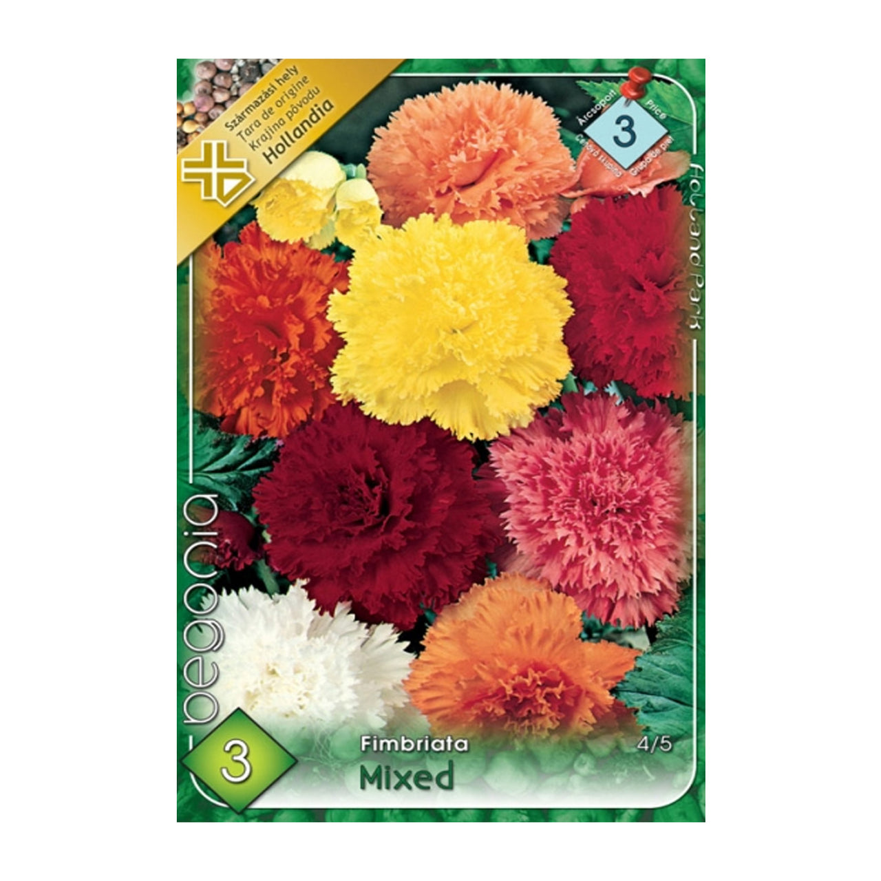 Bulbi Begonia Fimbriata Mix 3 buc