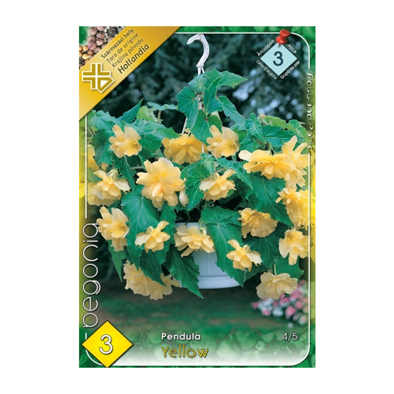 Bulbi Begonia Pendula Galben 3 buc