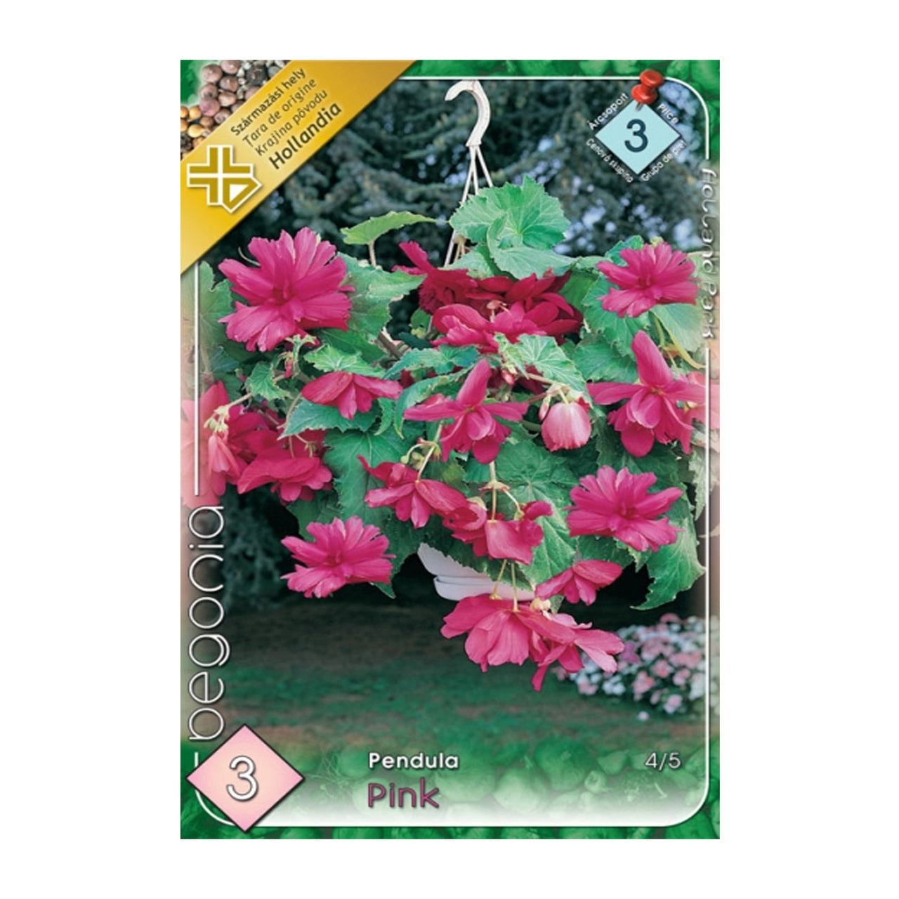 Bulbi Begonia Pendula Roz 3 buc