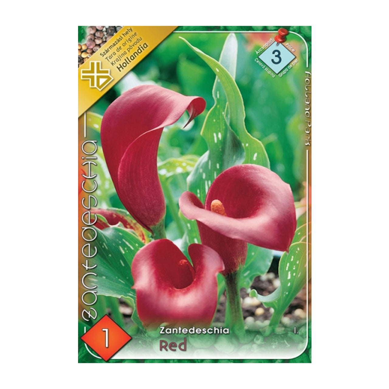 Bulbi Cala Rosu 1 buc