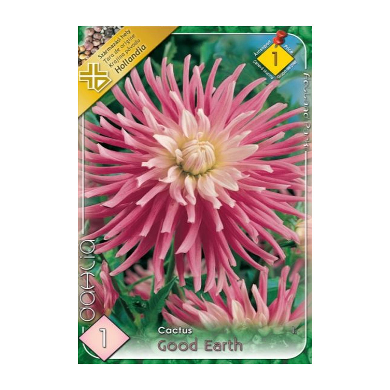 Bulbi Dalii Good Earth 1 buc