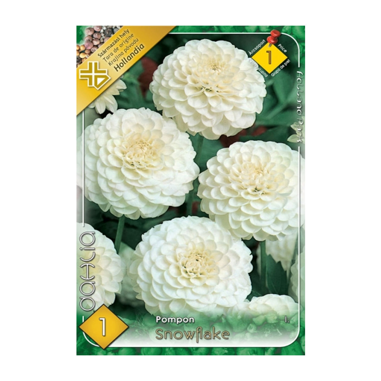 Bulbi Dalii Snowflake 1 buc