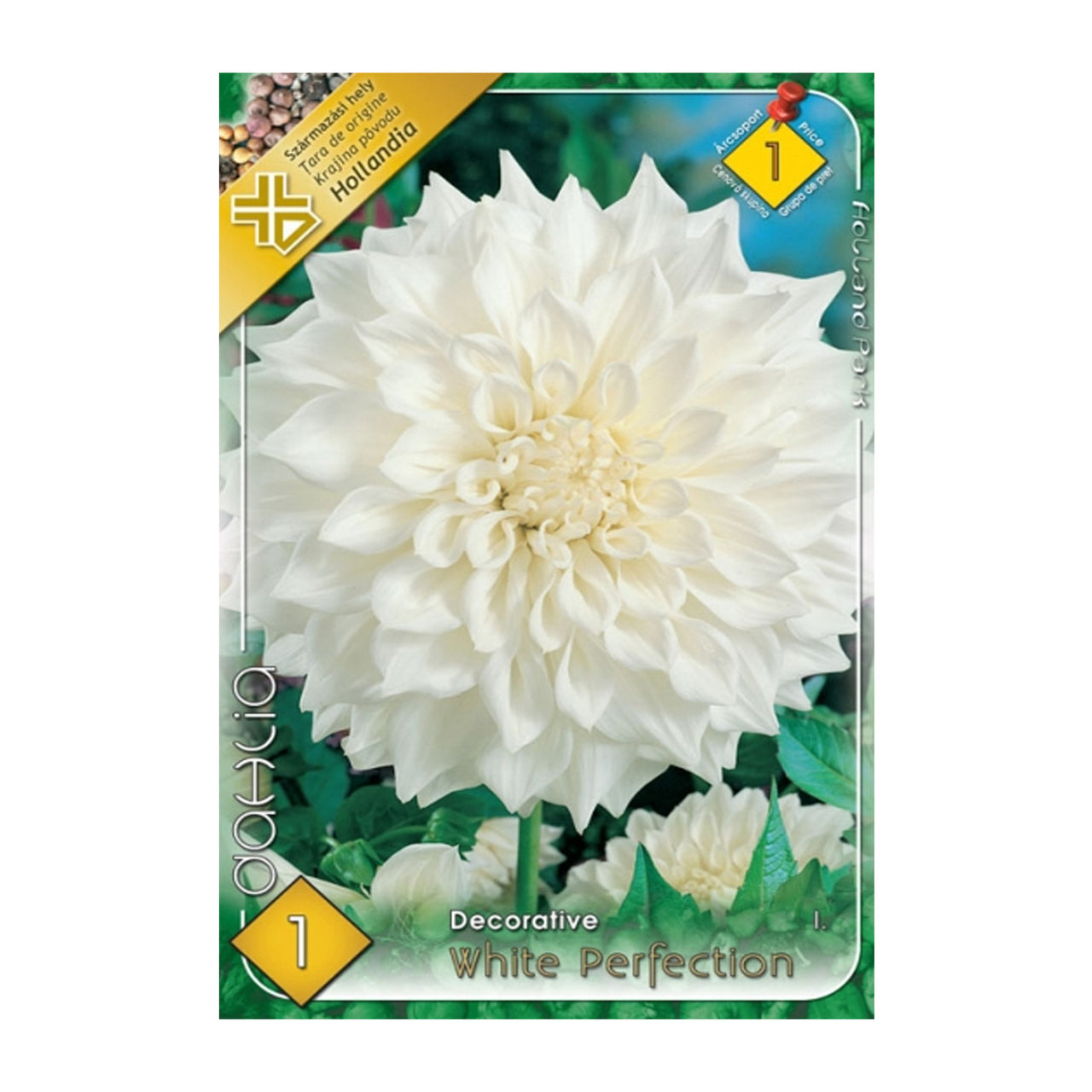 Bulbi Dalii White Perfection 1 buc