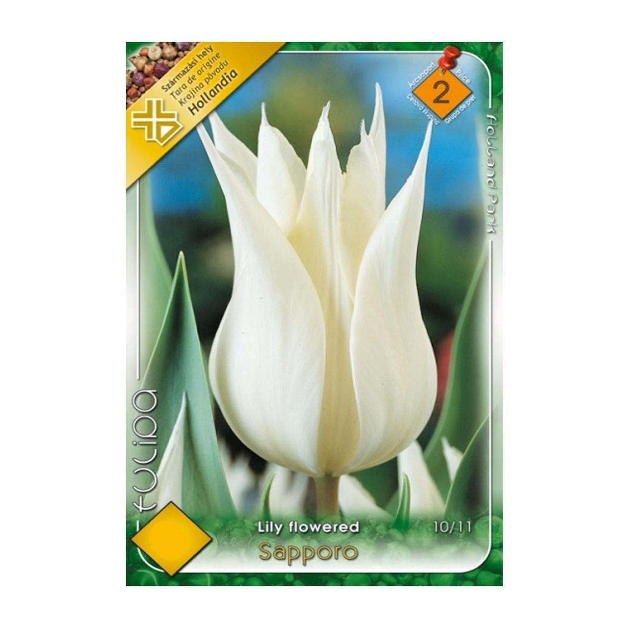 Bulbi Lalele Sapporo 6 buc