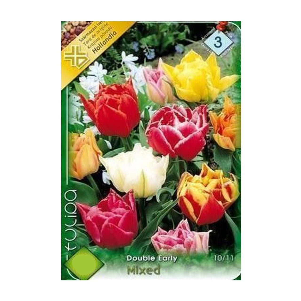 Bulbi Lalele Double Early Mixed 7 buc