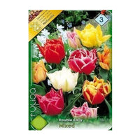 Thumbnail for Bulbi Lalele Double Early Mixed 7 buc