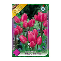 Thumbnail for Bulbi Lalele Happy Family 8 buc