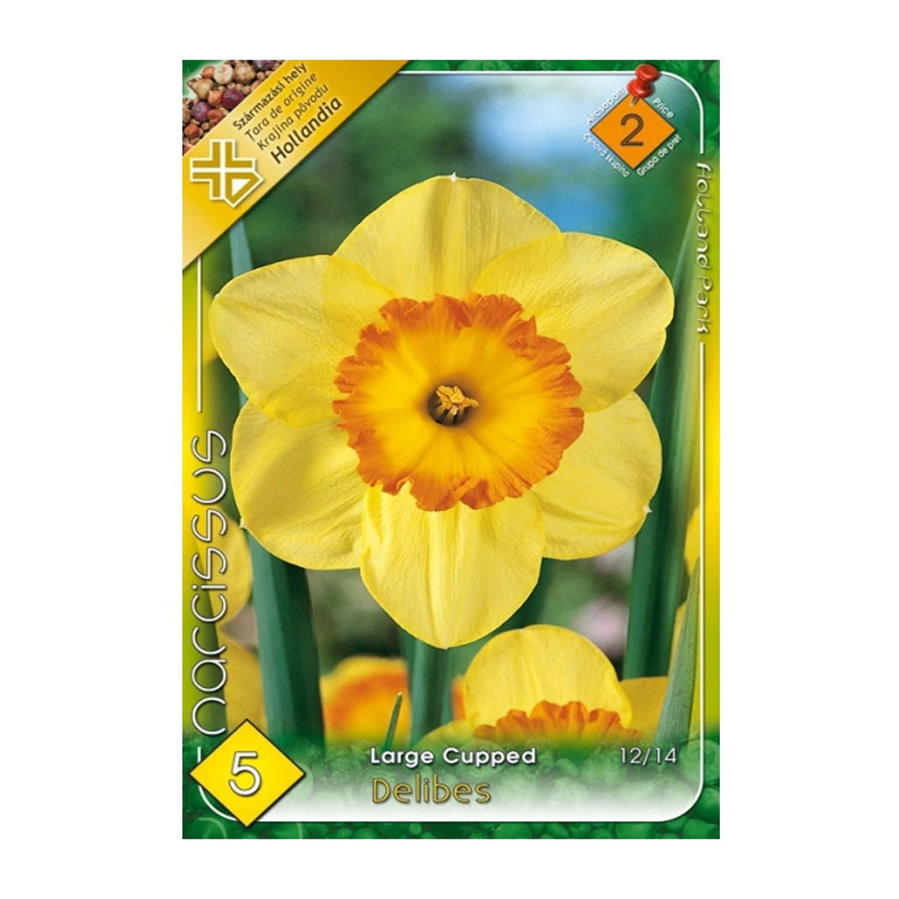 Bulbi Narcise Delibes 5 buc