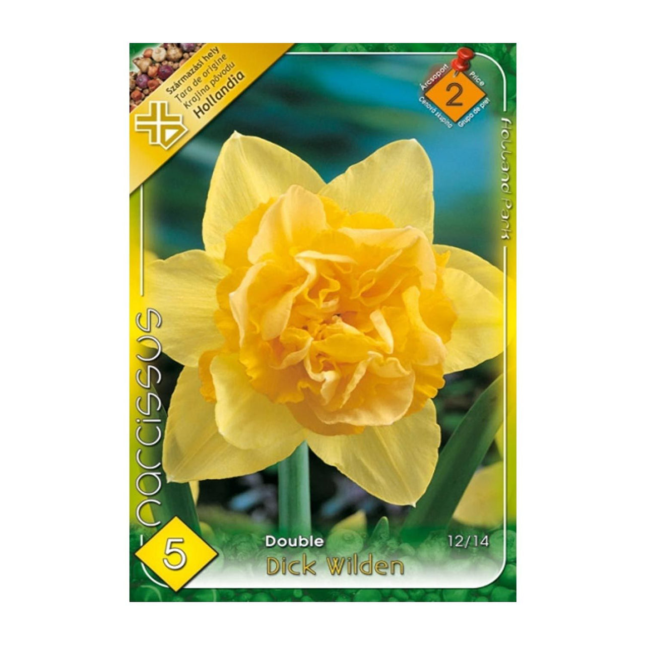 Bulbi Narcise Dick Wilden 5 buc