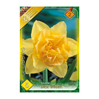 Thumbnail for Bulbi Narcise Dick Wilden 5 buc