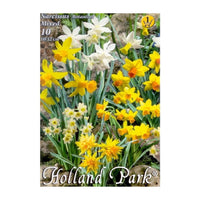 Thumbnail for Bulbi Narcise Botanical Mix 10 buc