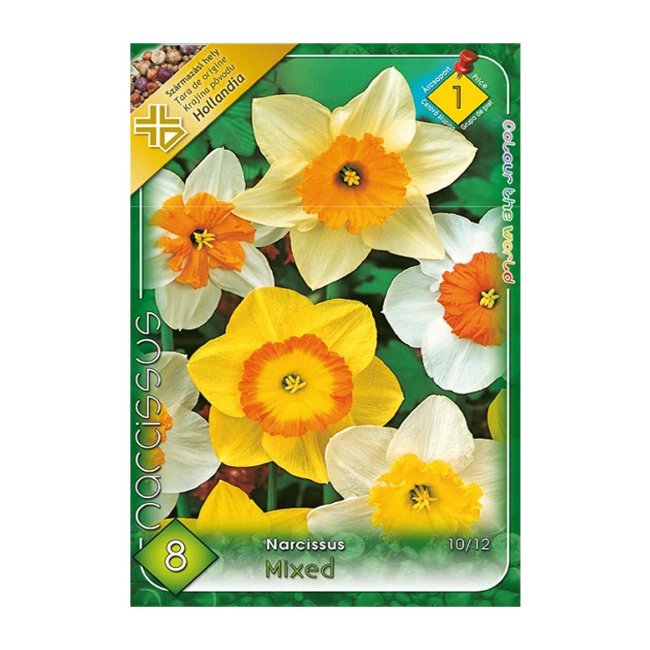 Bulbi Narcise cu flori mari mix 8 buc