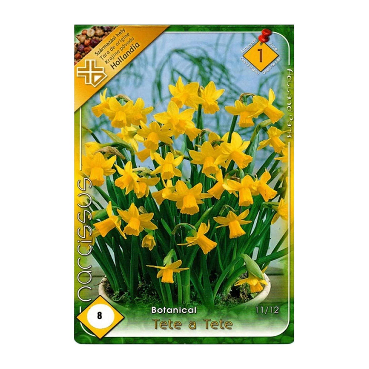 Bulbi Narcise Tete a Tete 8 buc