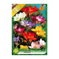 Thumbnail for Bulbi Frezii Single Mix 10 buc