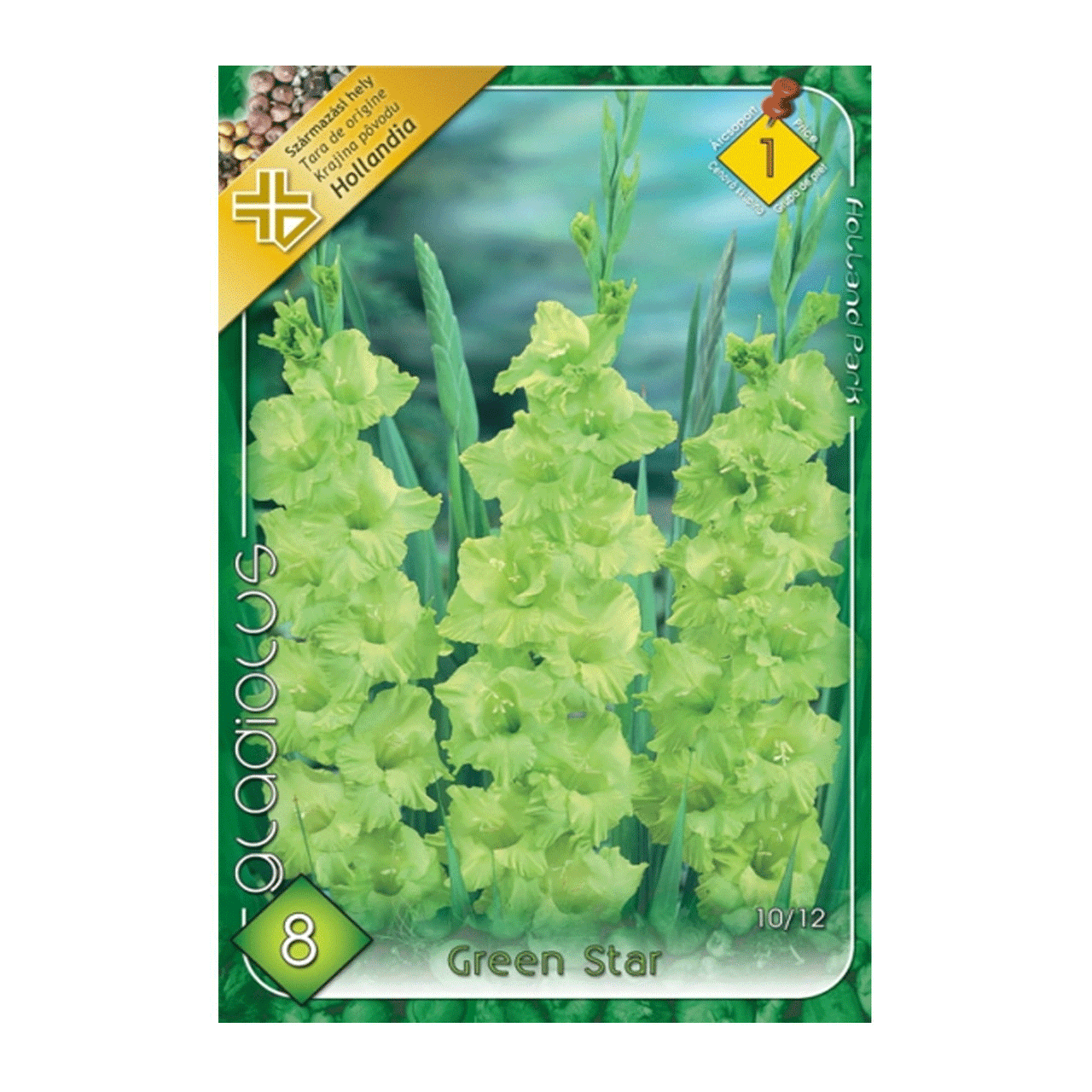 Bulbi Gladiole Green Star 8 buc