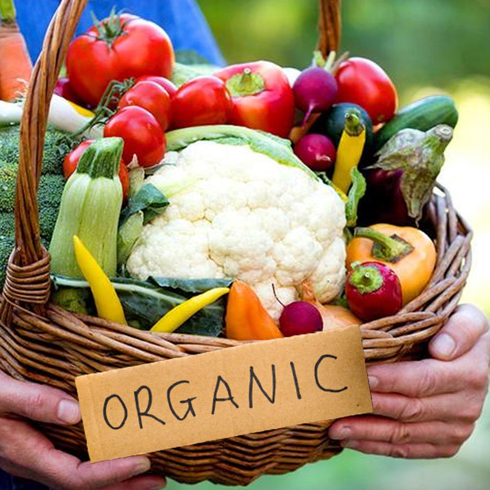 Ingrasamant Cropmax (20ml, 50ml, 100ml, 250ml, 1L)